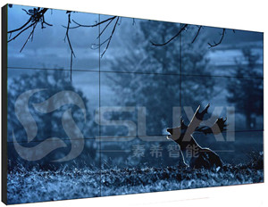 上海素希智能科技有限公司員工郊游活動！